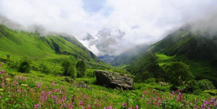 Best Times to Visit Himachal’s National Parks