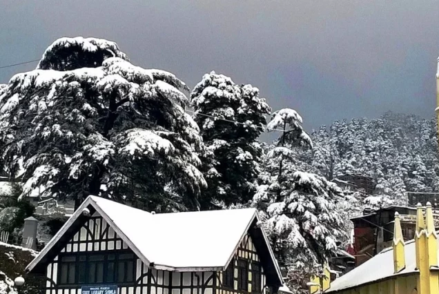 Shimla Winter Trip Package